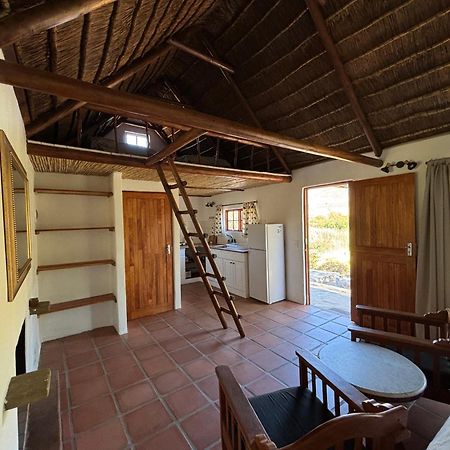 Enjo Nature Farm Clanwilliam Exteriér fotografie