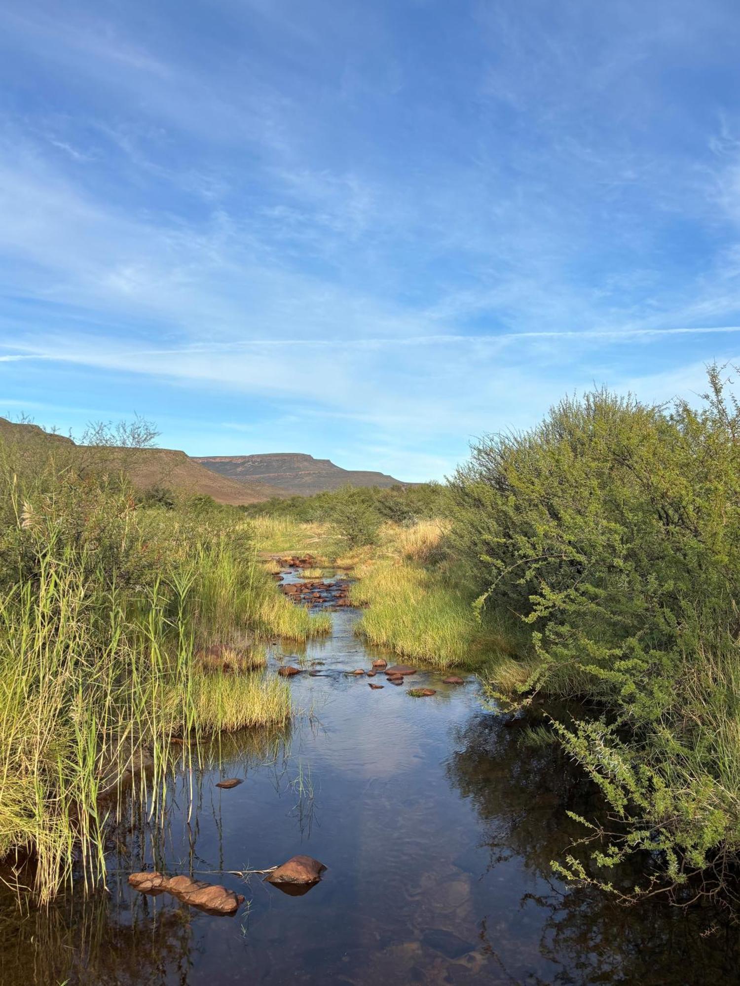 Enjo Nature Farm Clanwilliam Exteriér fotografie