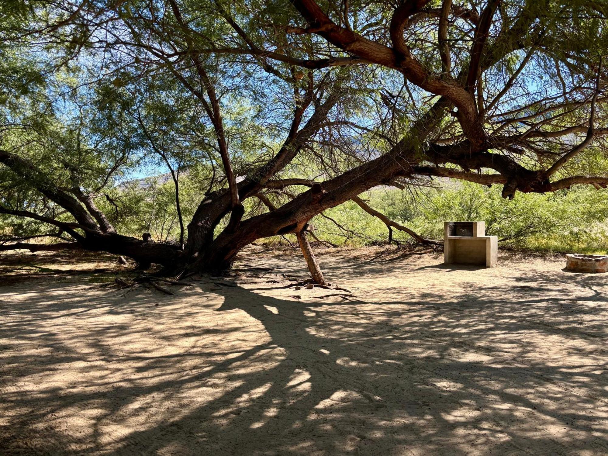 Enjo Nature Farm Clanwilliam Exteriér fotografie